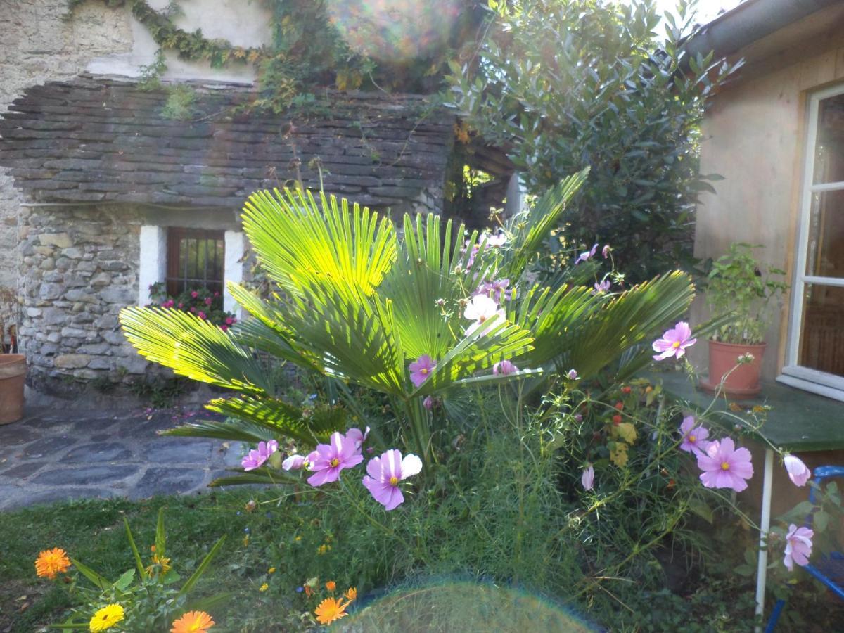 B&B Casa Codega Intragna Esterno foto